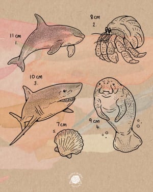 Image of Aquatic Life Sheet 1