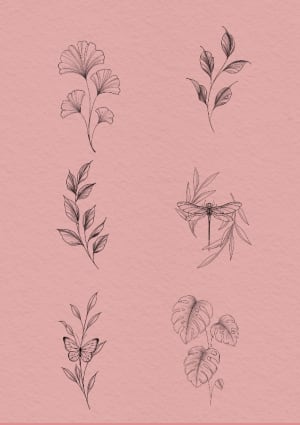 Image of Leaf Budget Flash