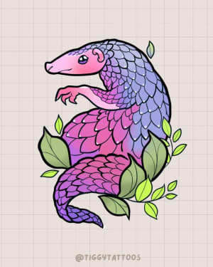 Image of Pangolin