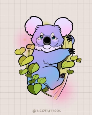 Image of Koala