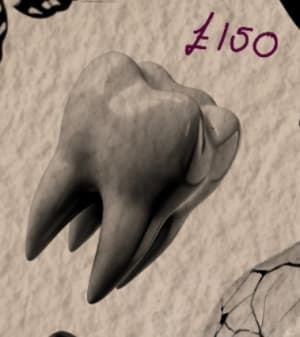 Image of Tooth