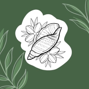 Image of Shell with flowers 2