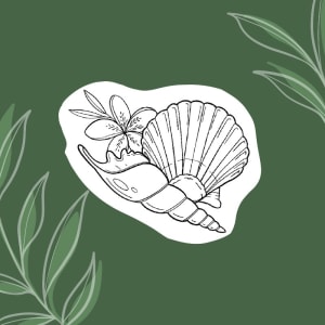 Image of Two shells, One flower