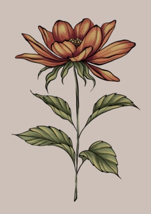 Image of Flower 2