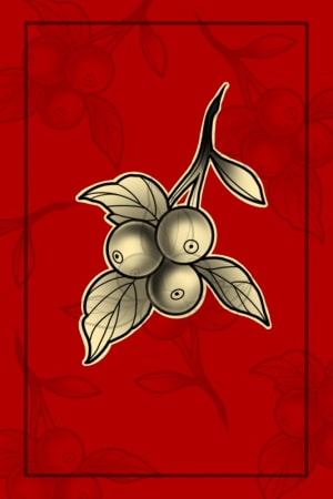 Image of Red berries 