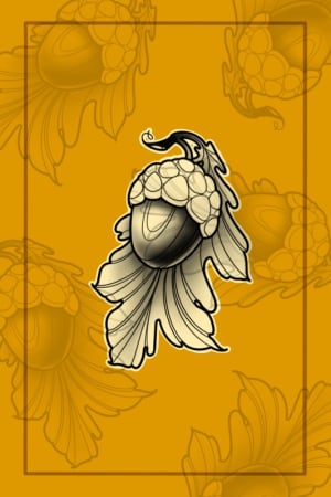 Image of Acorn