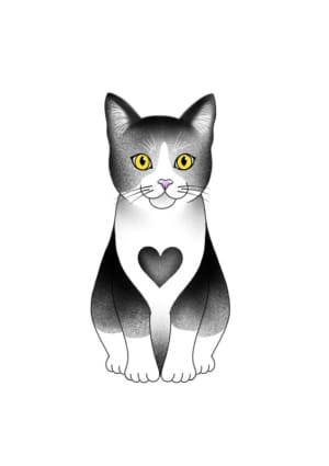 Image of Sitting Kitty