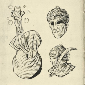 Image of 3