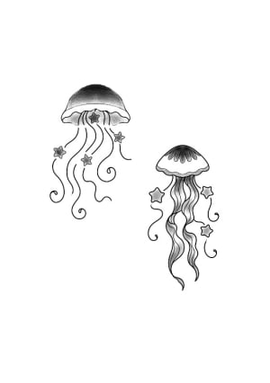 Image of Jellyfish