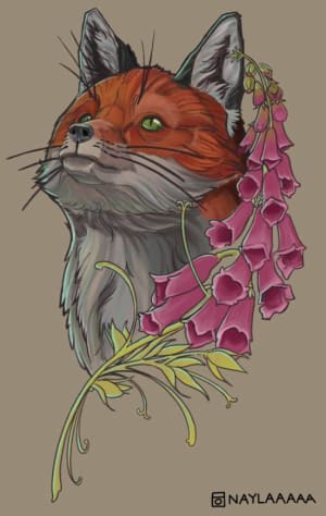 Image of Fox & Foxgloves