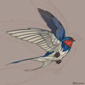 Image of Neotrad Swallow