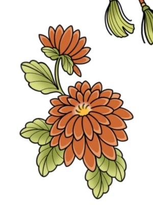 Image of Chrysanthemums