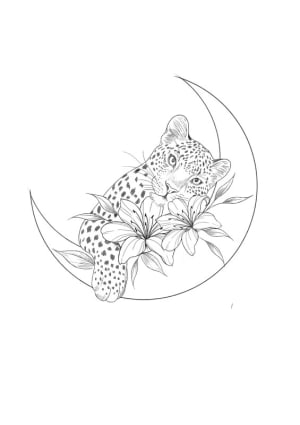 Image of Moon leopard