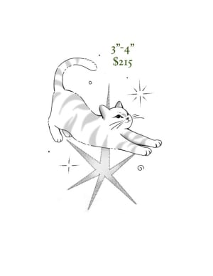 Image of star cat 3”-4”