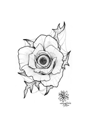 Image of Rose eye