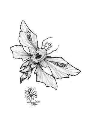 Image of Tooth moth
