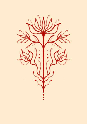 Image of Original 5.0