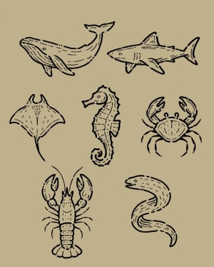 Image of Sheet 9