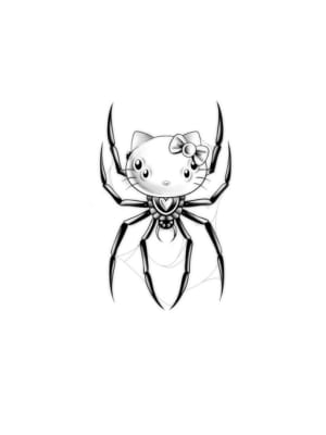 Image of Spider kitty 
