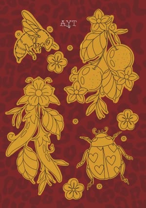 Image of Flash #5