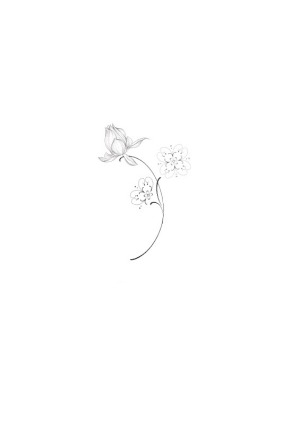 Image of 2
