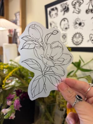 Image of Magnolia 