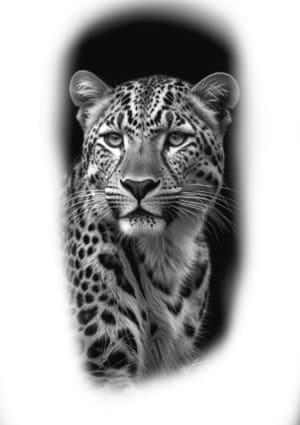 Image of Leopard 