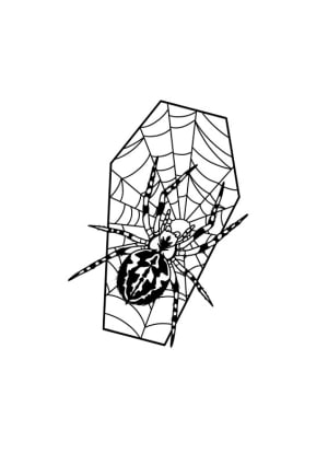 Image of Spider Coffin 