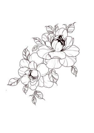 Image of Peonies sisters