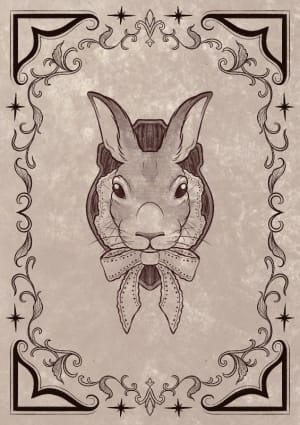 Image of Rabbit