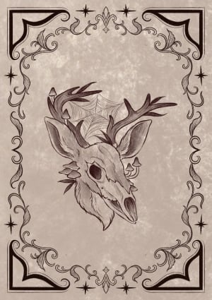 Image of Decaying deer