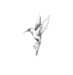 Image of Hummingbird (Model Design up to 5 inches)