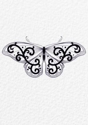 Image of Filagree Butterfly 