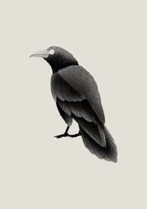 Image of Crow ~ 10cm