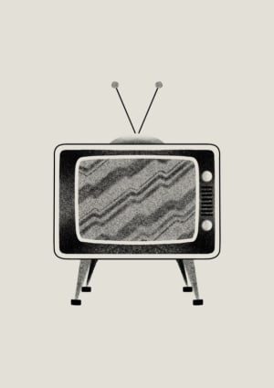 Image of White Noise ~ 10cm