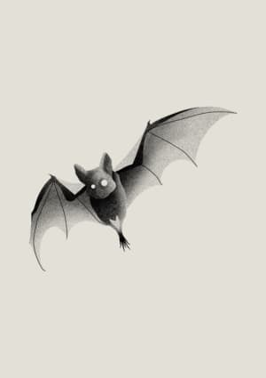 Image of Bat ~ 10cm