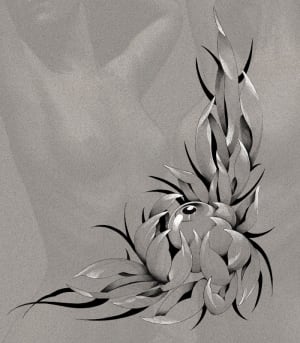 Image of crythansium 2 