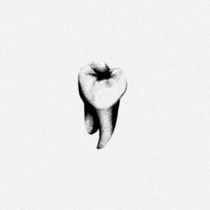 Image of Tooth