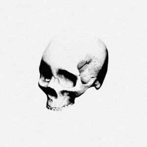 Image of Skull