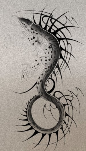 Image of Monitor lizard 