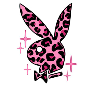 Image of Pink Leopard Playboy Bunny