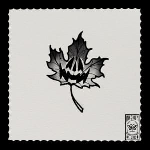 Image of Pumpkin Leaf