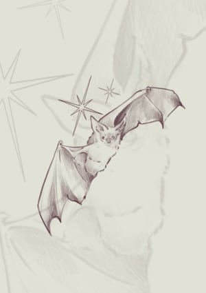 Image of Pipistrello 🦇