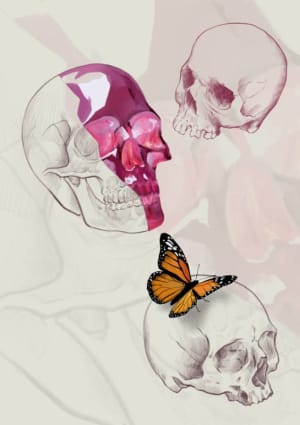 Image of Teschio con farfalla 🦋