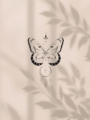 Image of Butterfly 