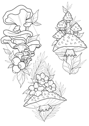 Image of Mushrooms 