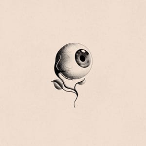 Image of Eyeball 