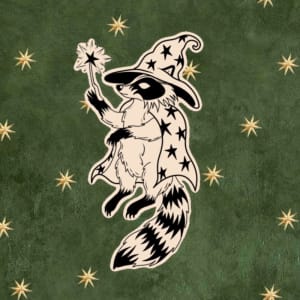 Image of Raccoon wizard