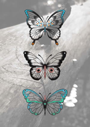Image of Butterflies