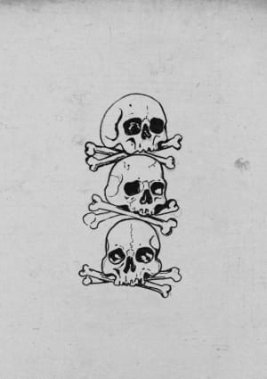 Image of Skulls